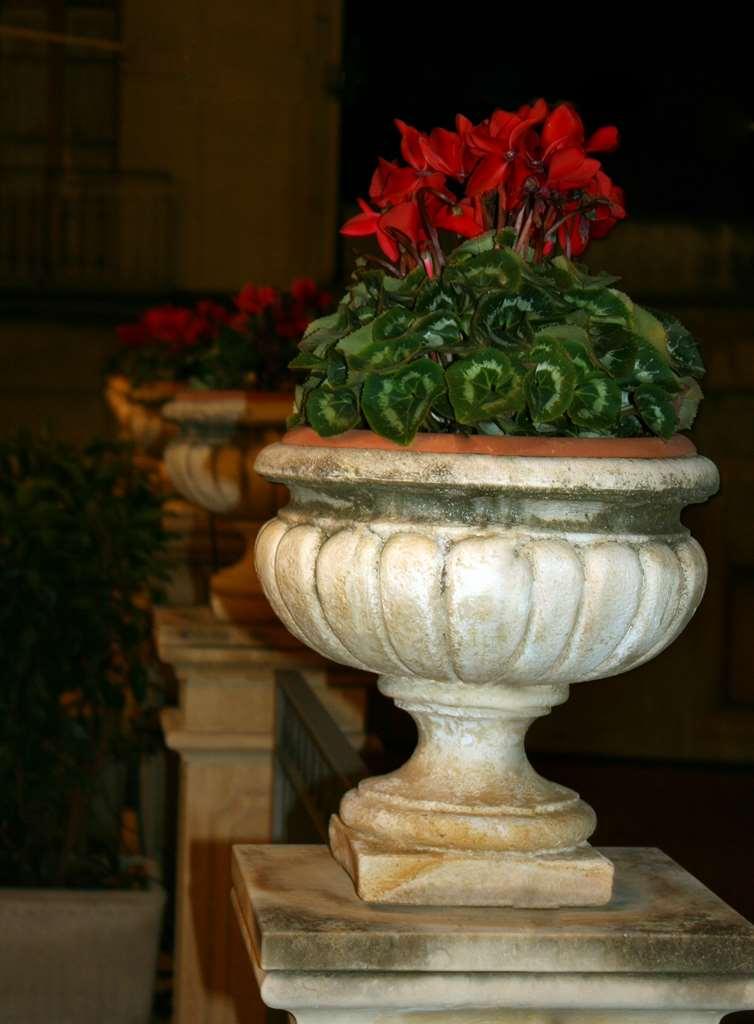 Hotel Villa Cibele Catania Amenities photo